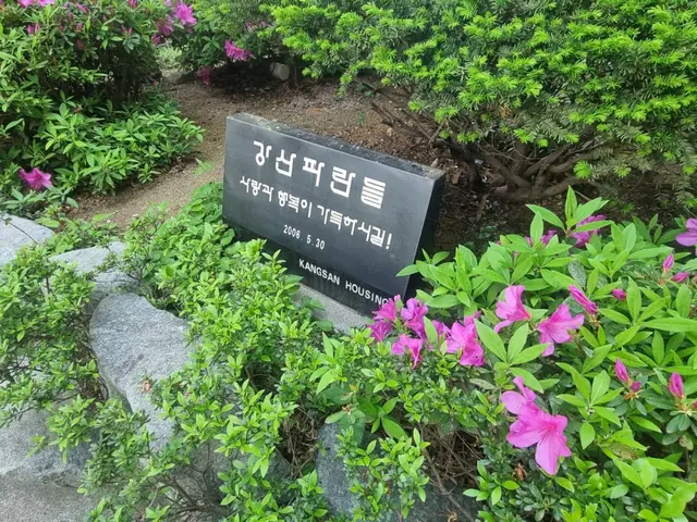 울산건축 성안동 강산파란들 성안동 주택 건축 시공 현장 사진 5